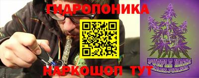 ПСИЛОЦИБИНОВЫЕ ГРИБЫ Заволжье