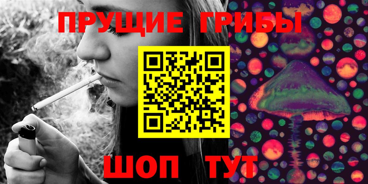 Минусинск  Псилоцибиновые грибы Psilocybe  Вход с VPN  цены наркотик  Псилоцибиновые грибы мухоморы 